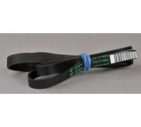 FIGEVIDA CINGHIA DI TRASMISSIONE LAVATRICE 1181 H7 HUTCHINSON 1133mm NERO Compatibile per INDESIT ARISTON C00059721