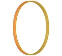 FIGEVIDA CINGHIA GELATAIO GELATIERA GC5000 GC6000 IM5000 IM6000 GM6000 Compatibile per DeLonghi 5320410129