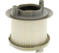 FIGEVIDA Filtro di Scarico per Aspirapolvere per Hoover Inc Alyx & Whirlwind Hoover Hepa T80 35600415