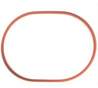 FIGEVIDA Guarnizione Tenuta Caldaia Mini Ferro da Stiro Compatibile per POLTI M0S08497 POM0S08497