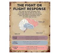 Fight Flight Funny Metal Tin Sign Psychology Knowledge Decor 12x8 Inch