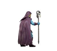 Figura d azione Skeletor Mattel 13,97 cm Havoc