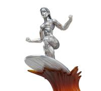 Figura da collezione Hasbro Marvel Legends Silver Surfer 15 cm 5 accessori