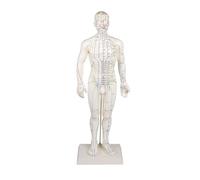Figura Di Agopuntura Maschile, Figura Di Agopuntura, TCM 50 Cm