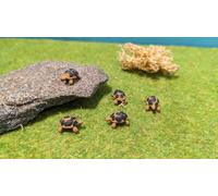 Figura Di Tartaruga In Resina H0 HO 1:87 Dipinta / Non Dipinta Set