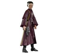 Figura Hasbro Star Wars The Black Series Padmé Amidala articolata multicolore