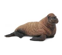 Figura in plastica del cucciolo di tricheco Collecta