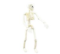 Figura Scheletro con articolazioni mobili-Creepy Requisito, Horror e Decorazione Gotica | Modello Scheletrico Umano Realistico e anatomicamente, Durevole, di Alta qualità k