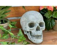 Figura Teschio Scheletro Resistente Al Freddo Pietra Statua Decorativa Giardino