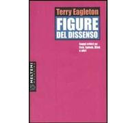 Figure del dissenso. Saggi critici su Fish, Spivak, Zizek e altri