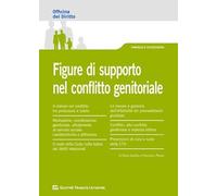 Figure di supporto nel conflitto genitoriale