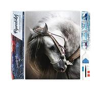 Figured'Art Diamond Painting Art 5D kit completo 40x50cm Tela Arrotolata Interamente da Ricoprire di Diamonds Quadrati - Grande Cavallo - Pittura Diamante - Attività Creativa per Adulti