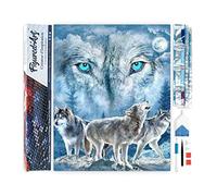 Figured'Art Diamond Painting Art 5D kit completo 40x50cm Tela Arrotolata Interamente da Ricoprire di Diamonds Quadrati - Branco Di Lupi - Pittura Diamante - Attività Creativa per Adulti