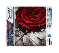 Figured'Art Diamond Painting Art 5D kit completo 40x50cm Tela Arrotolata Interamente da Ricoprire di Diamonds Quadrati - Rosa Rossa - Pittura Diamante - Attività Creativa per Adulti