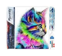 Figured'Art Diamond Painting Art 5D kit completo 40x50cm Tela Arrotolata Interamente da Ricoprire di Diamonds Quadrati - Gattino Colorato - Pittura Diamante - Attività Creativa per Adulti