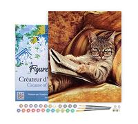 Figured'Art Dipingere con i Numeri con Telaio - Paint by Numbers Non Scherzare Con Questo Gatto, Passatempo per Adulti, Kit Completo, Hobby Creativi - Quadri fai da te 40x50cm Tela Già Incorniciata