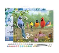 Figured'Art Dipingere con i Numeri con Telaio - Paint by Numbers Uccelli sul tronco, Passatempo per Adulti, Kit Completo, Hobby Creativi - Quadri fai da te 40x50cm Tela Già Incorniciata