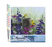 Figured'Art Dipingere con i Numeri - Paint by Numbers Coppia di Cardellini, Passatempo per Adulti, Kit Completo, Hobby Creativi - Quadri fai da te 40x50cm senza cornice