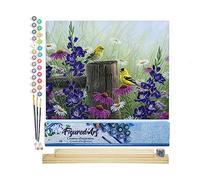 Figured'Art Dipingere con i Numeri - Paint by Numbers Coppia di Cardellini, Passatempo per Adulti, Kit Completo, Hobby Creativi - 40x50cm cornice in legno fai da te