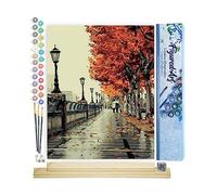 Figured'Art Dipingere con i Numeri - Paint by Numbers I Colori Dell'Autunno A Parigi, Passatempo per Adulti, Kit Completo, Hobby Creativi - 40x50cm cornice in legno fai da te