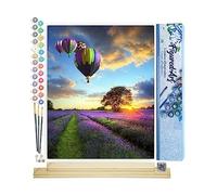Figured'Art Dipingere con i Numeri - Paint by Numbers Mongolfiera Sui Campi Viola, Passatempo per Adulti, Kit Completo, Hobby Creativi - 40x50cm cornice in legno fai da te