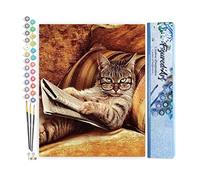 Figured'Art Dipingere con i Numeri - Paint by Numbers Non Scherzare Con Questo Gatto, Passatempo per Adulti, Kit Completo, Hobby Creativi - Quadri fai da te 40x50cm senza cornice