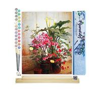 Figured'Art Dipingere con i Numeri - Paint by Numbers Side of Greenhouse - George Cochran Lambdin, Passatempo per Adulti, Kit Completo, Hobby Creativi - 40x50cm cornice in legno fai da te