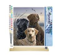 Figured'Art Dipingere con i Numeri - Paint by Numbers Trio di Labrador, Passatempo per Adulti, Kit Completo, Hobby Creativi - 40x50cm cornice in legno fai da te