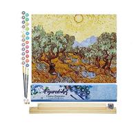 Figured'Art Dipingere con i Numeri - Paint by Numbers Van Gogh St Remy, Passatempo per Adulti, Kit Completo, Hobby Creativi - 40x50cm cornice in legno fai da te