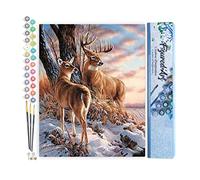 Figured'Art Dipinto per numero adulto Cervi in Inverno - Attività manuale Kit per il tempo libero creativo fai da te Numero d'Arte Completo - 40x50cm senza telaio in legno