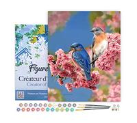 Figured'Art Dipinto per numero adulto con cornice coppia di uccelli blu - attività manuale kit per il tempo libero creativo fai da te numero d'arte completo - 40 x 50 cm tela tesa su telaio