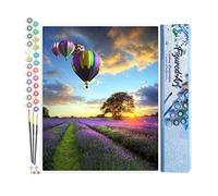 Figured'Art - Kit per pittura con i numeri per adulti, disegno di mongolfiere sopra i campi, verticale - Attività manuale, kit di hobby creativo DIY, numero d'arte completo - 40x50cm senza telaio in