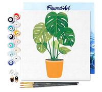Figured'Art Mini Dipingere con i Numeri 20x20cm con Telaio - Paint by Numbers Monstera in vaso, Passatempo per Adulti, Kit Completo, Hobby Creativi - Quadri fai da te Tela Già Incorniciata