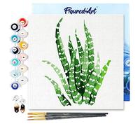 Figured'Art Mini Dipingere con i Numeri 20x20cm con Telaio - Paint by Numbers Sansevieria, Passatempo per Adulti, Kit Completo, Hobby Creativi - Quadri fai da te Tela Già Incorniciata