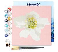 Figured'Art Mini pittura per numero adulto, 20 x 20 cm, con cornice fiore di rosa canina, piccolo formato, kit per il tempo libero creativo fai da te, numero d'arte completo