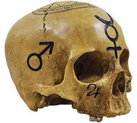 Figuren-Shop.de Teschio di Morte Stregoneria - Figura Decorativa