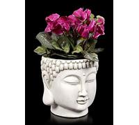 Figuren Shop GmbH Bianco Terracotta Vaso da Fiori - Testa Buddha Pflanz-Gefäß con Buddha-Gesicht, Articolo Decorazione, Terracotta, H 20 CM