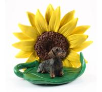 Figurina Di Bassotto A Pelo Duro Con Girasole