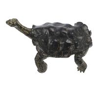 Figurina Di Tartaruga Realistica Figura Animale Simulazione