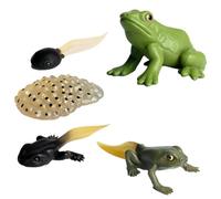Figurine Del Ciclo Di Vita - Figurine Del Ciclo Di Vita Degli Insetti | Set Di Figurine Del Ciclo Di Vita Insapore, Falena, Farfalla, Tartaruga, Formica Lavoratrice, Figure Di Insetti Pp Kit Giocattol