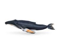 Figurine di Animali Marini in Plastica , Megattera , 11,5 cm | Struttura senza assemblaggio, di vertebrato marino, Esplorazione , Per stunti di zoologia