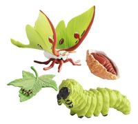 Figurine Insetti - Ciclo Di Vita Insipido, Modelli Farfalla, Tartaruga