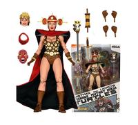 Figurine NECA TMNT Mirage Eastman e Laird's Tortues Ninja Collection Top Prix