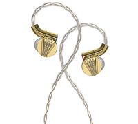 FiiO FDX In-Ear Driver dinamico con diaframma in puro berillio (Edizione Speciale 14° Anniversario)