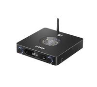 FiiO K13 R2R DAC desktop e amplificatore per cuffie, DAC R2R a 24 bit ad alta fedeltà, potente uscita da 2400 mW, streaming Bluetooth LDAC, doppia alimentazione, PEQ a 10 bande, uscita audio XLR e RCA