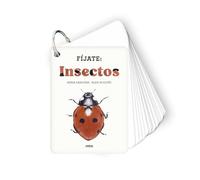 Fíjate: insectos: Pequeña guía para iniciarse en la observación de insectos