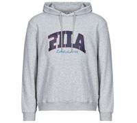 Fila Felpa LANDEN in Grigio EU M