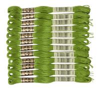 Filato di cotone da ricamo DMC a 6 capi, verde pappagallo medio