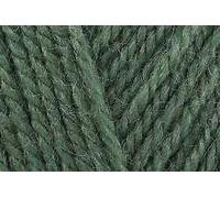 Filato Per Maglieria Stylecraft Special Aran Con Lana 3980 Succulento