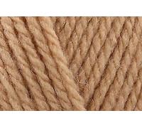 Filato Per Maglieria Stylecraft Special Aran Con Lana 400G 5507 Champagne